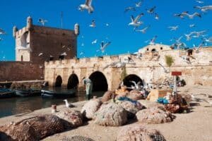 Excursion depuis Marrakech vers Essaouira en Privé